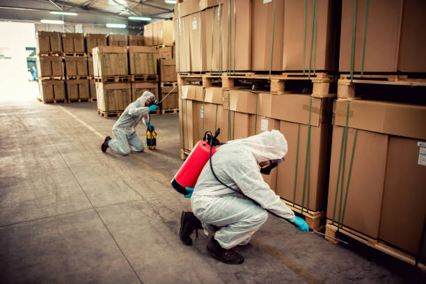Best Pest Prevention Services  in North Bennington, VT