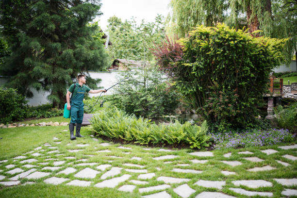 Best Exterminator Services  in North Bennington, VT