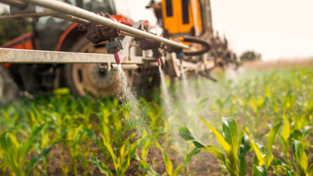 Best Commercial Pest Control Services  in North Bennington, VT